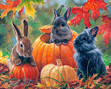 Load image into Gallery viewer, Paint by numbers Trio of Rabbits Figured&#39;Art new arrivals, intermediate, animals, rabbits