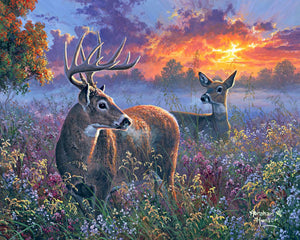 Paint by numbers Deer couple Figured'Art new arrivals, advanced, landscapes, animals, deer
