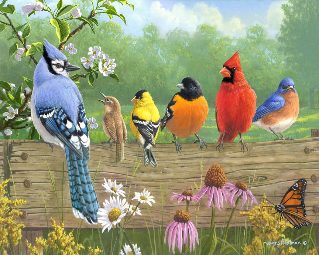 Paint by numbers - Birds On A Fence – Figured'Art