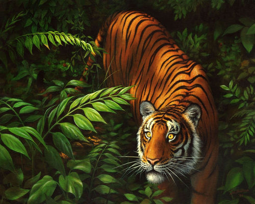 Paint by numbers Tiger In Ferns Figured'Art new arrivals, intermediate, animals, tigers