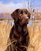 Load image into Gallery viewer, Paint by numbers Labrador Figured&#39;Art new arrivals, advanced, animals, dogs