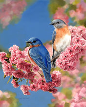 Load image into Gallery viewer, Paint by numbers Bluebirds Figured&#39;Art new arrivals, intermediate, animals, birds