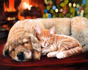 Paint by numbers Sleeping Companions Figured'Art new arrivals, intermediate, animals, dogs, cats