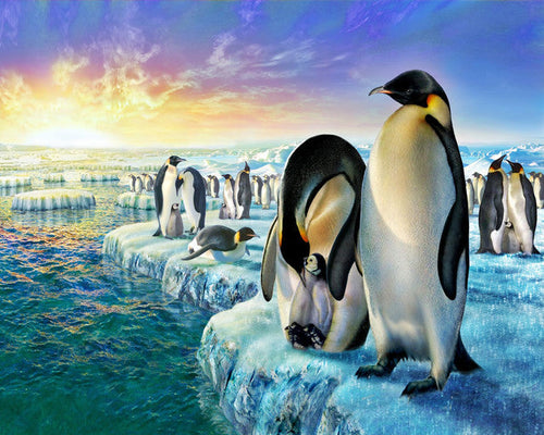 Paint by numbers | Penguins on the ice floe | animals intermediate new arrivals landscapes penguins | Figured'Art