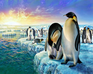 Paint by numbers | Penguins on the ice floe | animals intermediate new arrivals landscapes penguins | Figured'Art