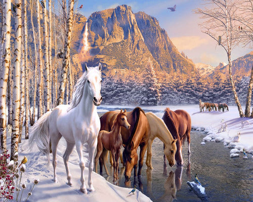 Paint by numbers | Horses during winter near the river | animals horses intermediate new arrivals landscapes | Figured'Art