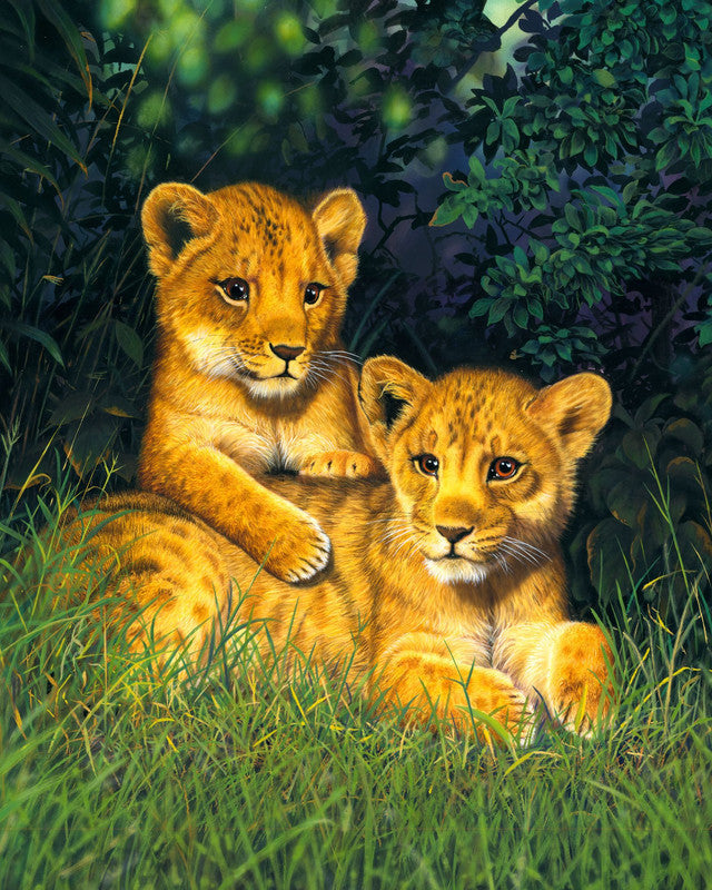 Paint by numbers | Lion cubs | animals advanced lions new arrivals | Figured'Art