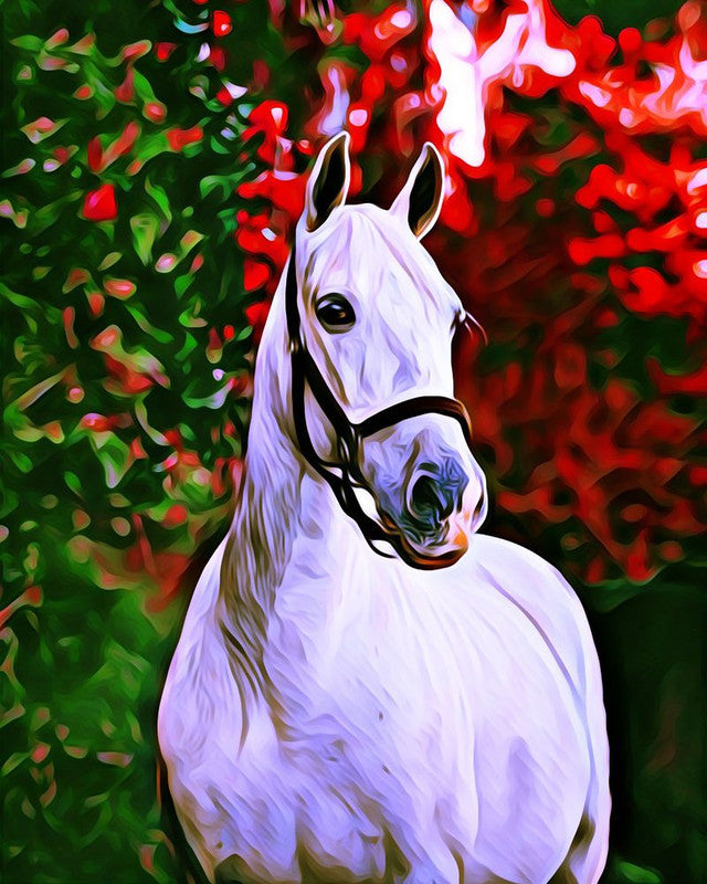 Diamond Painting - Horse and colorful background – Figured'Art