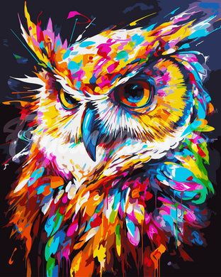 Paint by numbers kit Colorful Abstract Owl Figured'Art