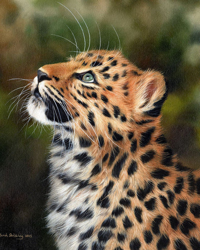 Paint by numbers | Curious leopard | animals intermediate leopards new arrivals | Figured'Art