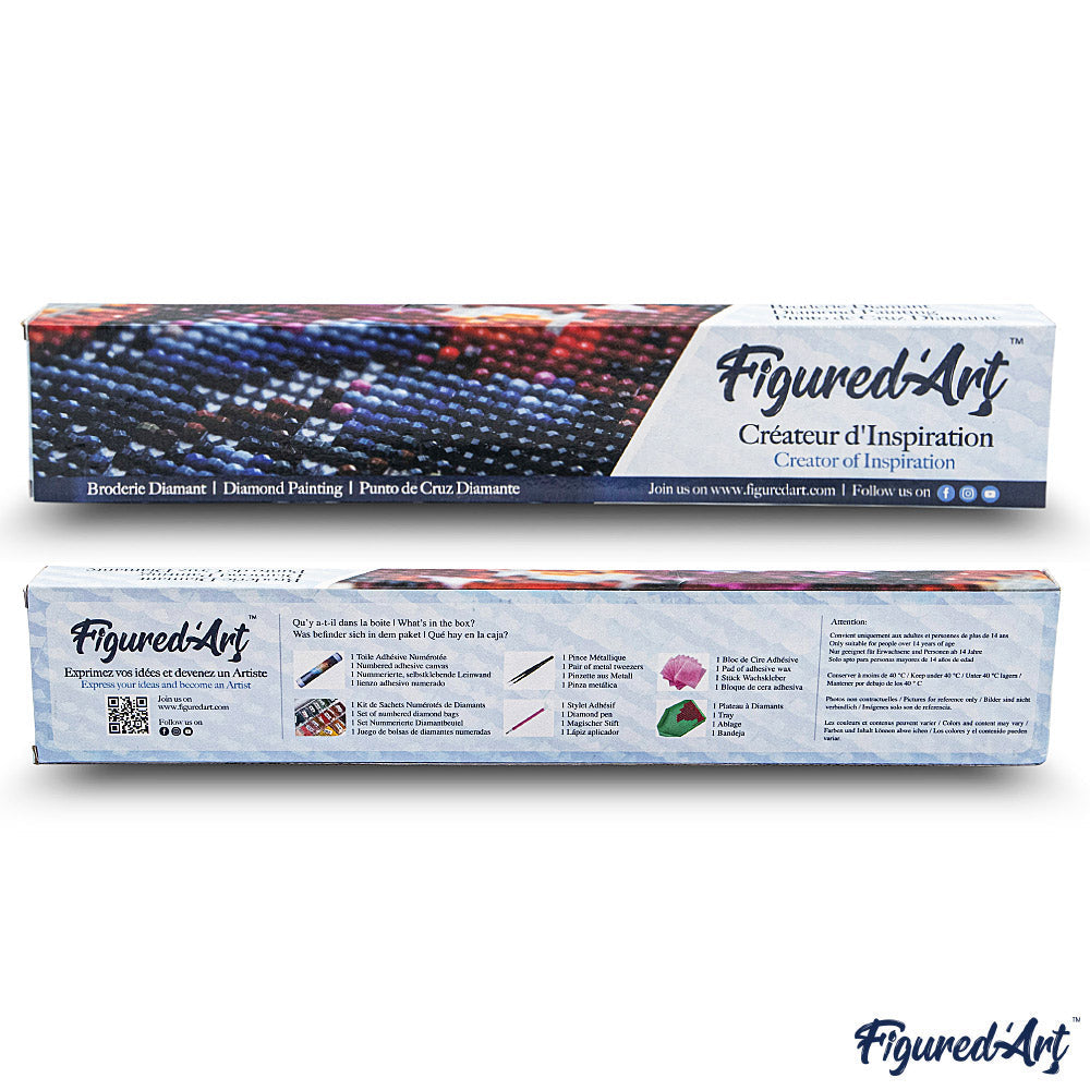 Diamond Painting - Fireworks and Eiffel Tower