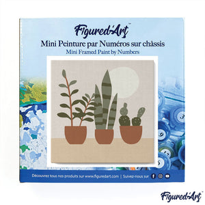 Mini Paint by numbers 8"x8" framed - Three plant pots