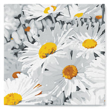 Load image into Gallery viewer, Mini Paint by numbers 8&quot;x8&quot; framed - Daisies Field