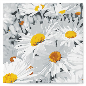 Mini Paint by numbers 8"x8" framed - Daisies Field