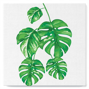 Mini Paint by numbers 8"x8" framed - Monstera Leaves