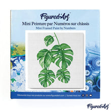 Load image into Gallery viewer, Mini Paint by numbers 8&quot;x8&quot; framed - Monstera Leaves