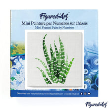 Load image into Gallery viewer, Mini Paint by numbers 8&quot;x8&quot; framed - Abstract Aloe Vera Plant