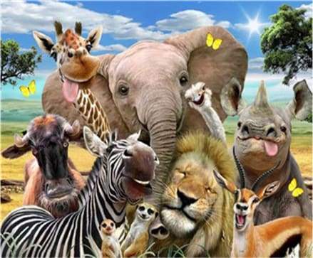 paint by numbers | African Animals | advanced animals elephants giraffes zebras | FiguredArt