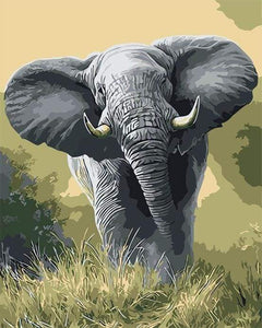 paint by numbers | African Elephant | animals easy elephants | FiguredArt
