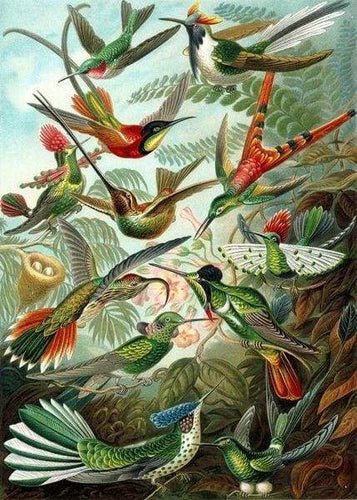 paint by numbers | All the Birds | advanced animals birds new arrivals | FiguredArt