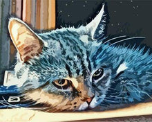 Load image into Gallery viewer, paint by numbers | American Shorthair Cat | animals cats easy | FiguredArt