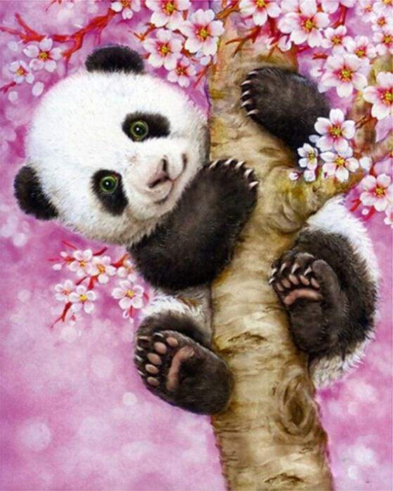 paint by numbers | Baby Panda | animals intermediate pandas | FiguredArt