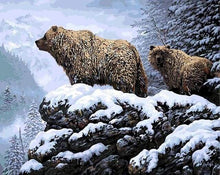 Load image into Gallery viewer, paint by numbers | Bears | advanced animals bears new arrivals | FiguredArt