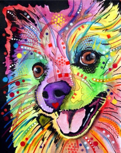 Paint by numbers - Beautiful dog – Figured'Art