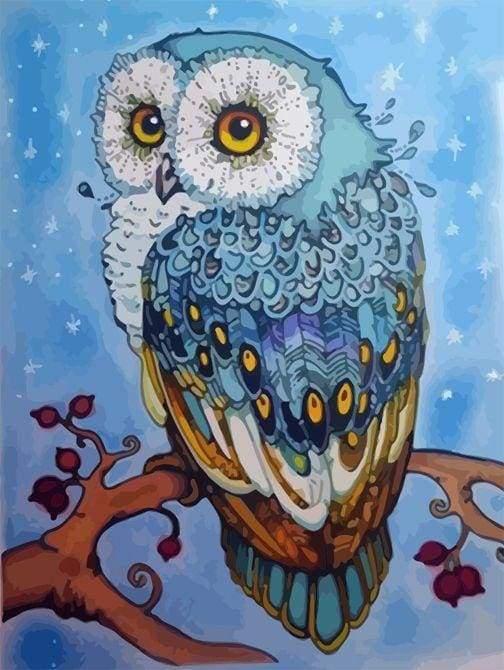 Colourful Owl - Paint by Numbers, Painting by Numbers Framed Art