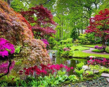 Load image into Gallery viewer, paint by numbers | Beautiful Park | advanced flowers landscapes new arrivals | FiguredArt