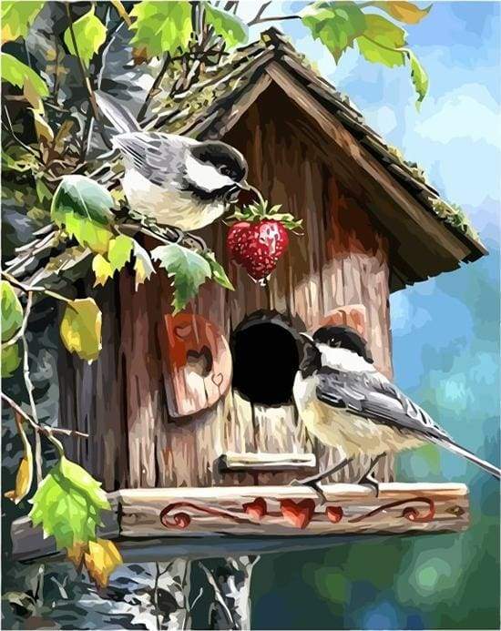 paint by numbers | Bird House | animals birds intermediate | FiguredArt