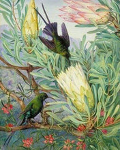 Load image into Gallery viewer, paint by numbers | Birds and Big Flowers | advanced animals birds flowers new arrivals | FiguredArt