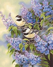 Load image into Gallery viewer, paint by numbers | Birds on Lilac branches | animals birds intermediate | FiguredArt