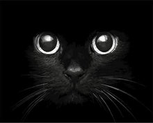 Load image into Gallery viewer, paint by numbers | Black Cat Head | animals cats intermediate | FiguredArt
