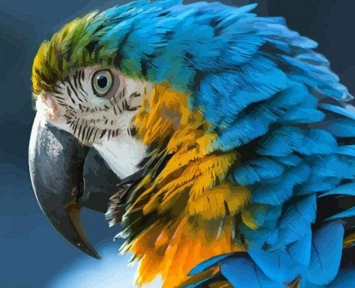 paint by numbers | Blue and Yellow Macaw | animals birds intermediate | FiguredArt