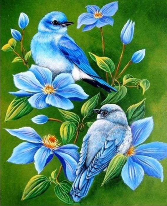 Blue Bird PAINT by NUMBER Kit for Adults ,nature Scenery White
