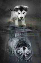 Load image into Gallery viewer, Diamond Painting Framed - Dog and Wolf Reflection