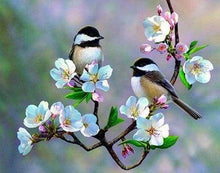 Load image into Gallery viewer, Diamond Painting Framed - Small Birds and White Flowers