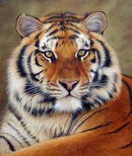 Load image into Gallery viewer, Diamond Painting Framed - Tiger Eye