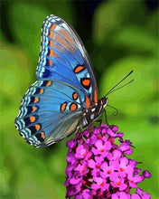 Load image into Gallery viewer, paint by numbers | Butterfly Flowers | animals butterflies flowers intermediate | FiguredArt