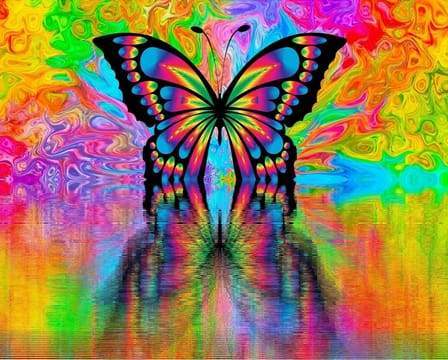 Paint by Numbers - Butterfly Reflection – Figured'Art