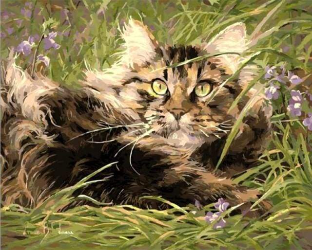 paint by numbers | Cat In The Grass | animals cats easy | FiguredArt
