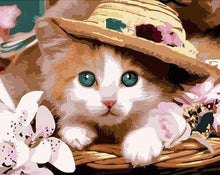Load image into Gallery viewer, paint by numbers | Cat wearing a Hat | animals cats easy | FiguredArt