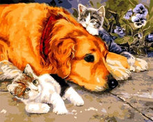 Load image into Gallery viewer, paint by numbers | Cats and Dog | animals cats dogs intermediate | FiguredArt