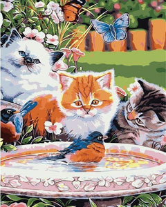 paint by numbers | Cats looking at a Bird | animals cats easy | FiguredArt