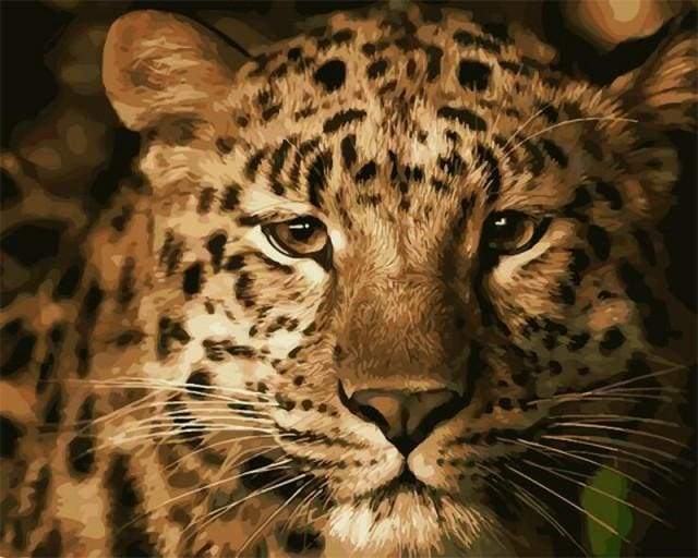 paint by numbers | Cheetah | advanced animals | FiguredArt
