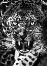 Load image into Gallery viewer, paint by numbers | Cheetah Black and White | advanced animals leopards | FiguredArt