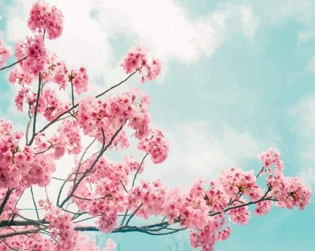 paint by numbers | Cherry tree | flowers intermediate | FiguredArt
