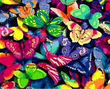 Load image into Gallery viewer, paint by numbers | Colorful Butterflies | animals butterflies easy | FiguredArt