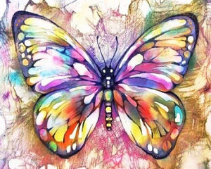 paint by numbers | Colorful Butterfly | advanced animals butterflies | FiguredArt